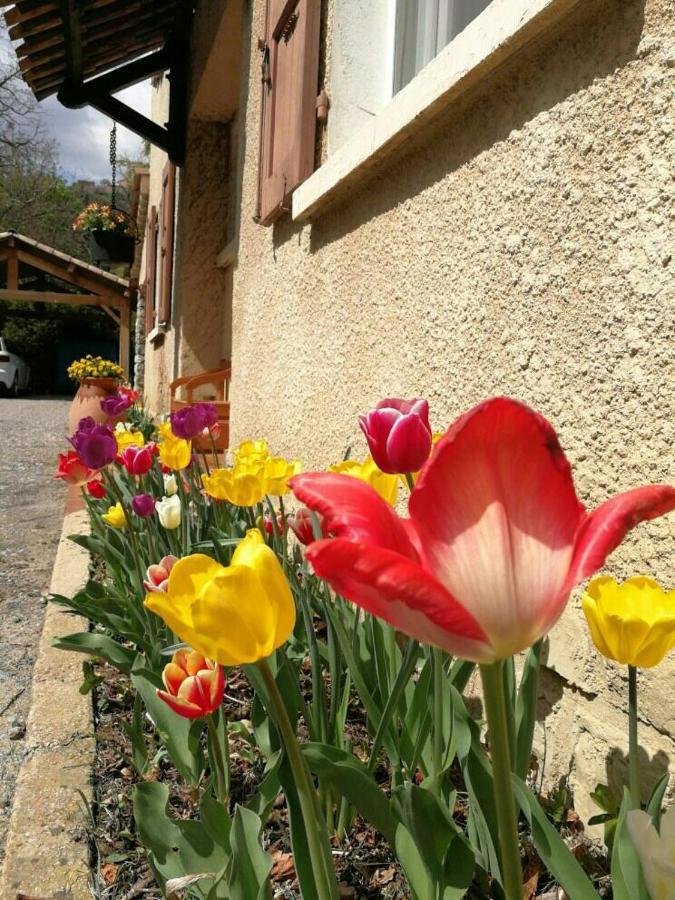 Maison 3 Etoiles Avec Jardin Pour Familles, Sportifs, Curistes... Digne-les-Bains Exterior foto