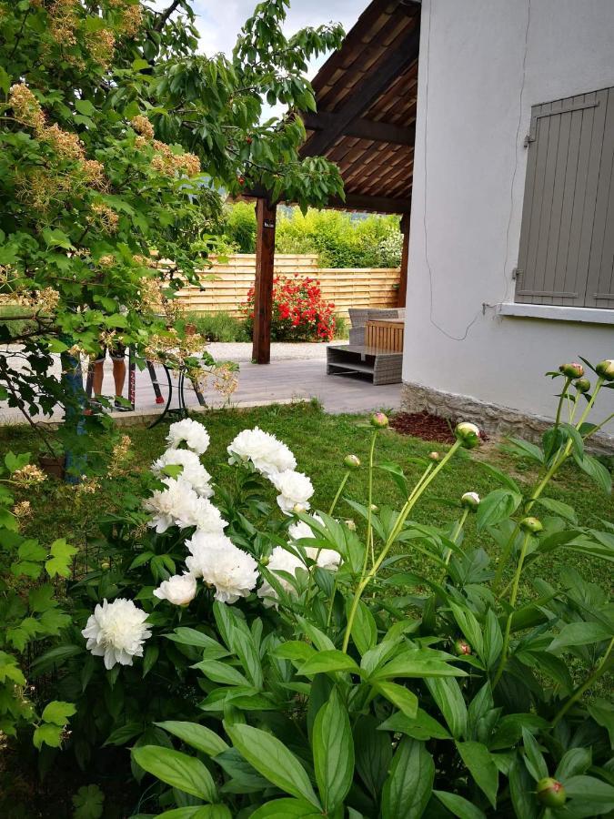 Maison 3 Etoiles Avec Jardin Pour Familles, Sportifs, Curistes... Digne-les-Bains Exterior foto